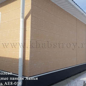 Фасадные панели ханьи, панель ае8-016